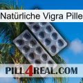 Natürliche Vigra Pille 31